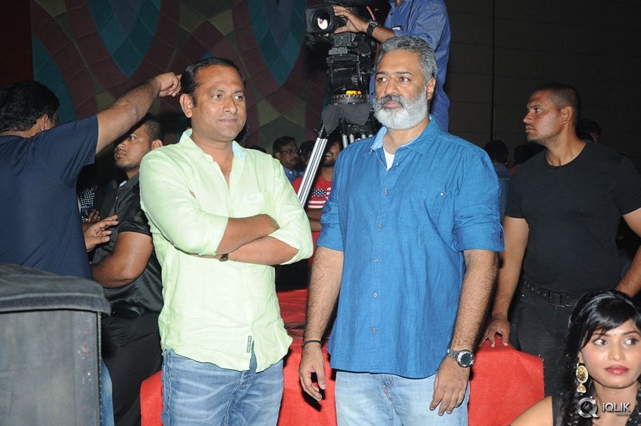 Hora-Hori-Movie-Audio-Launch